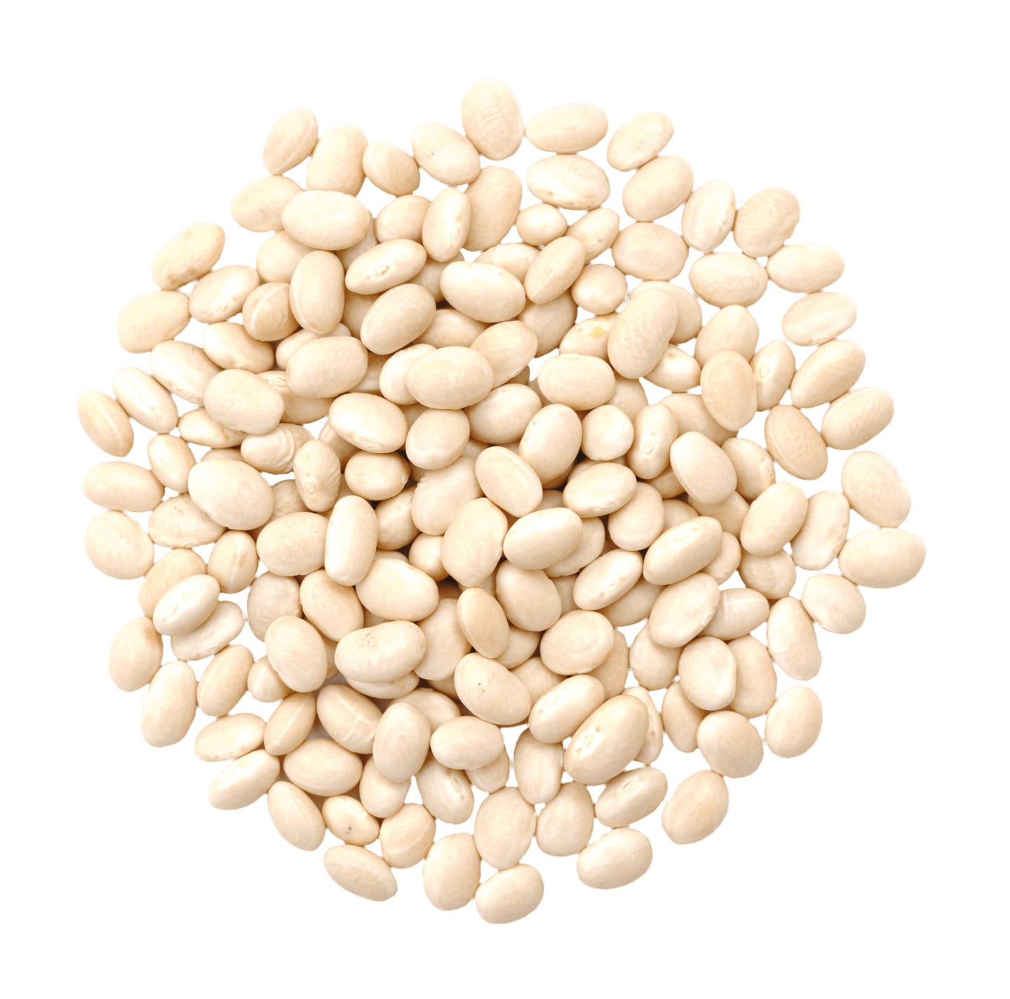 Vita bönor 4kg