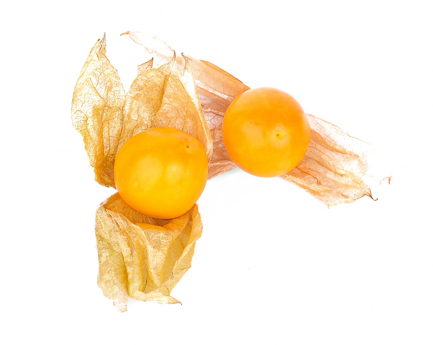 Physalis 100g
