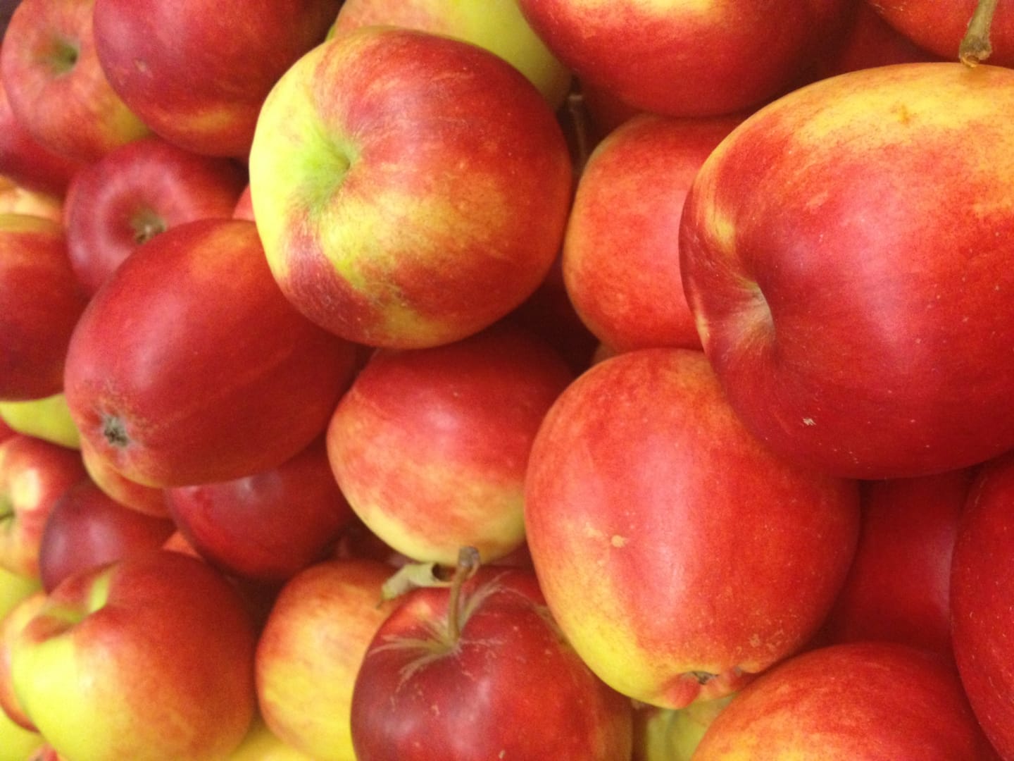 Äpple Katja