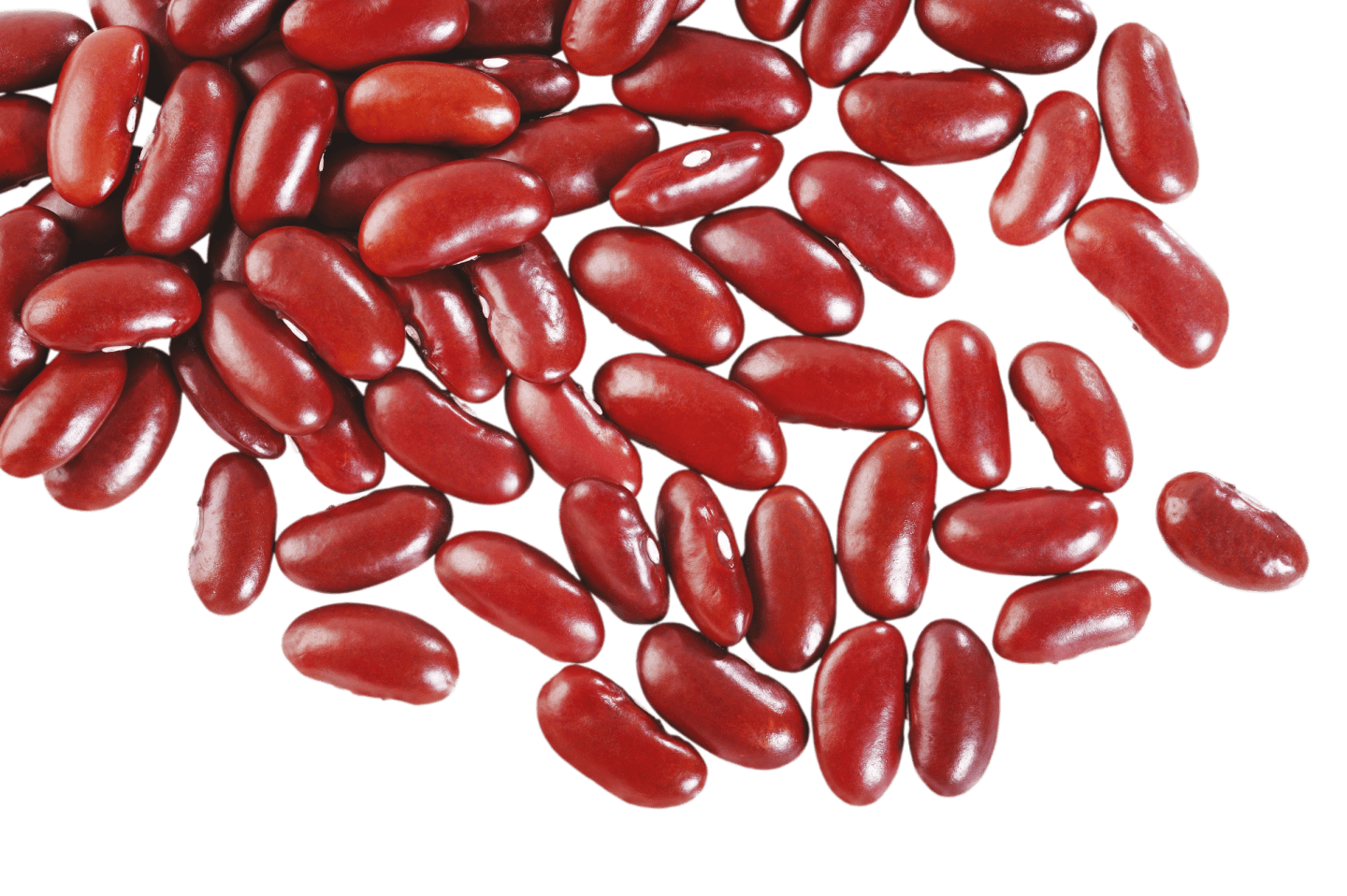 Kidneybönor svenskodlade 4kg