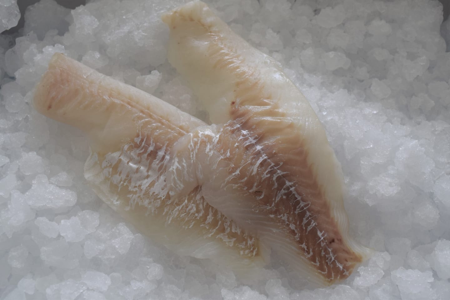 Torskfile sjöfryst MSC 250-500g 6,35g - Bild 1 av 2