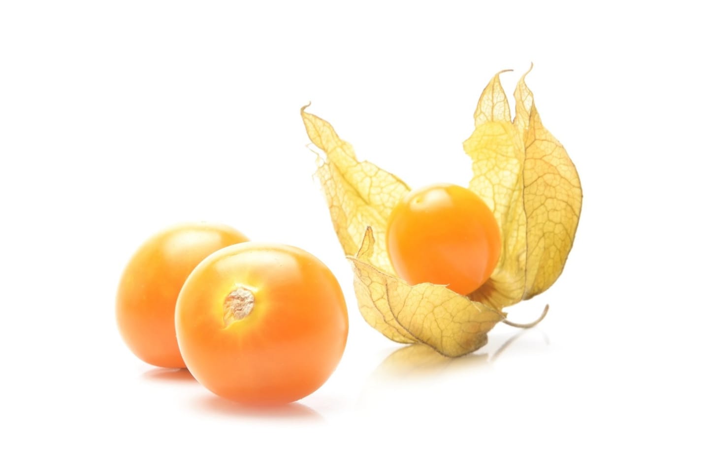 Physalis