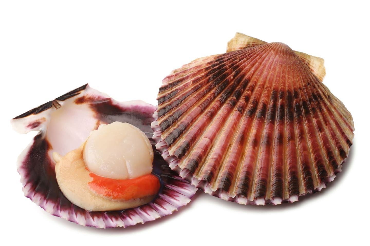 Mussla kam med rom 750g - Bild 1 av 3