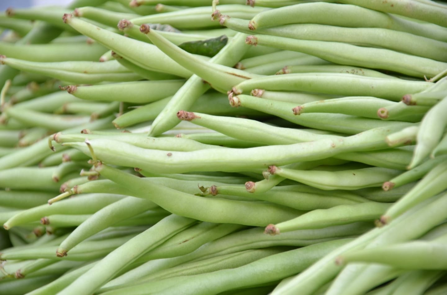 Haricots verts 150g