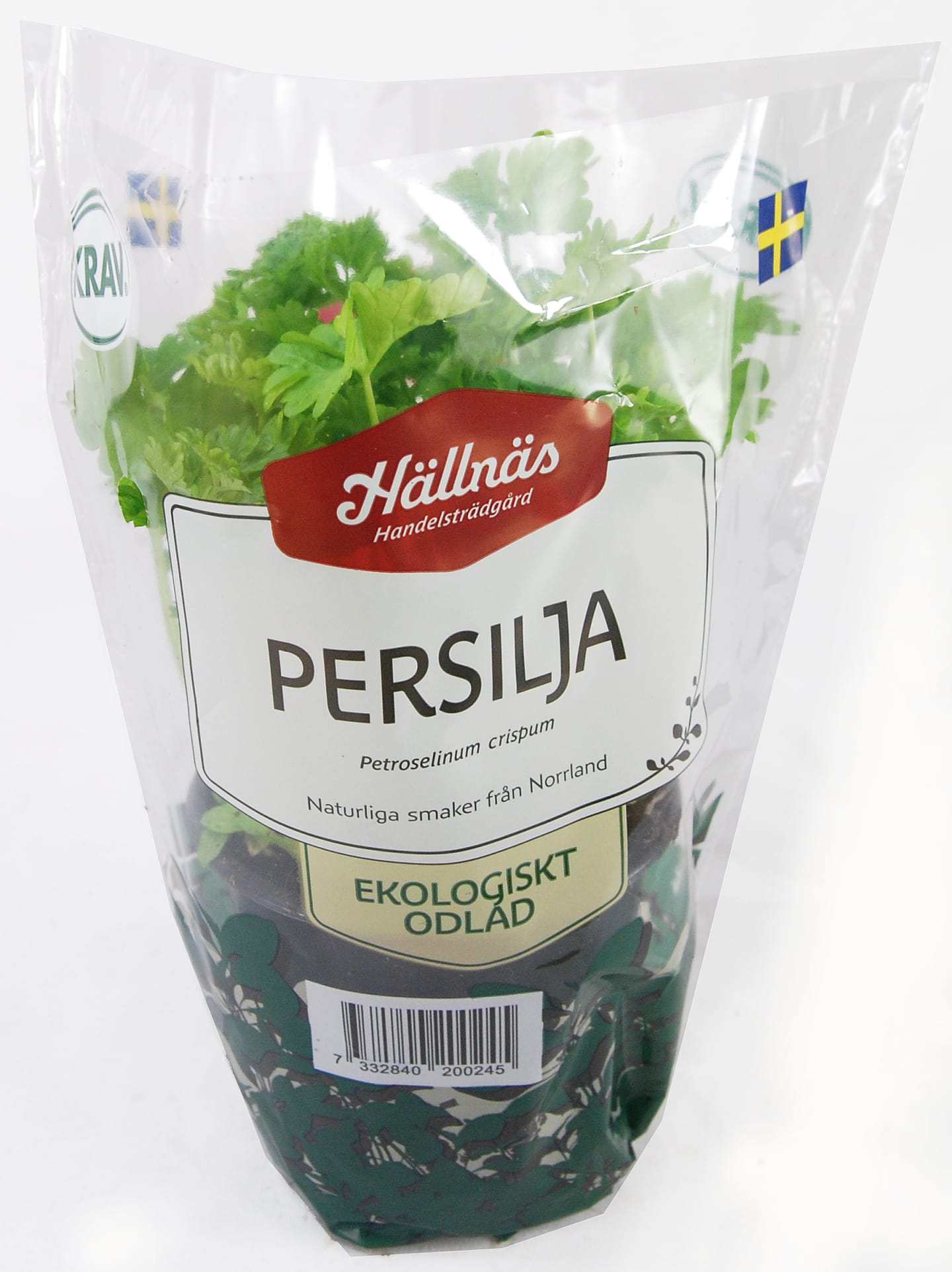 Kruspersilja kruka