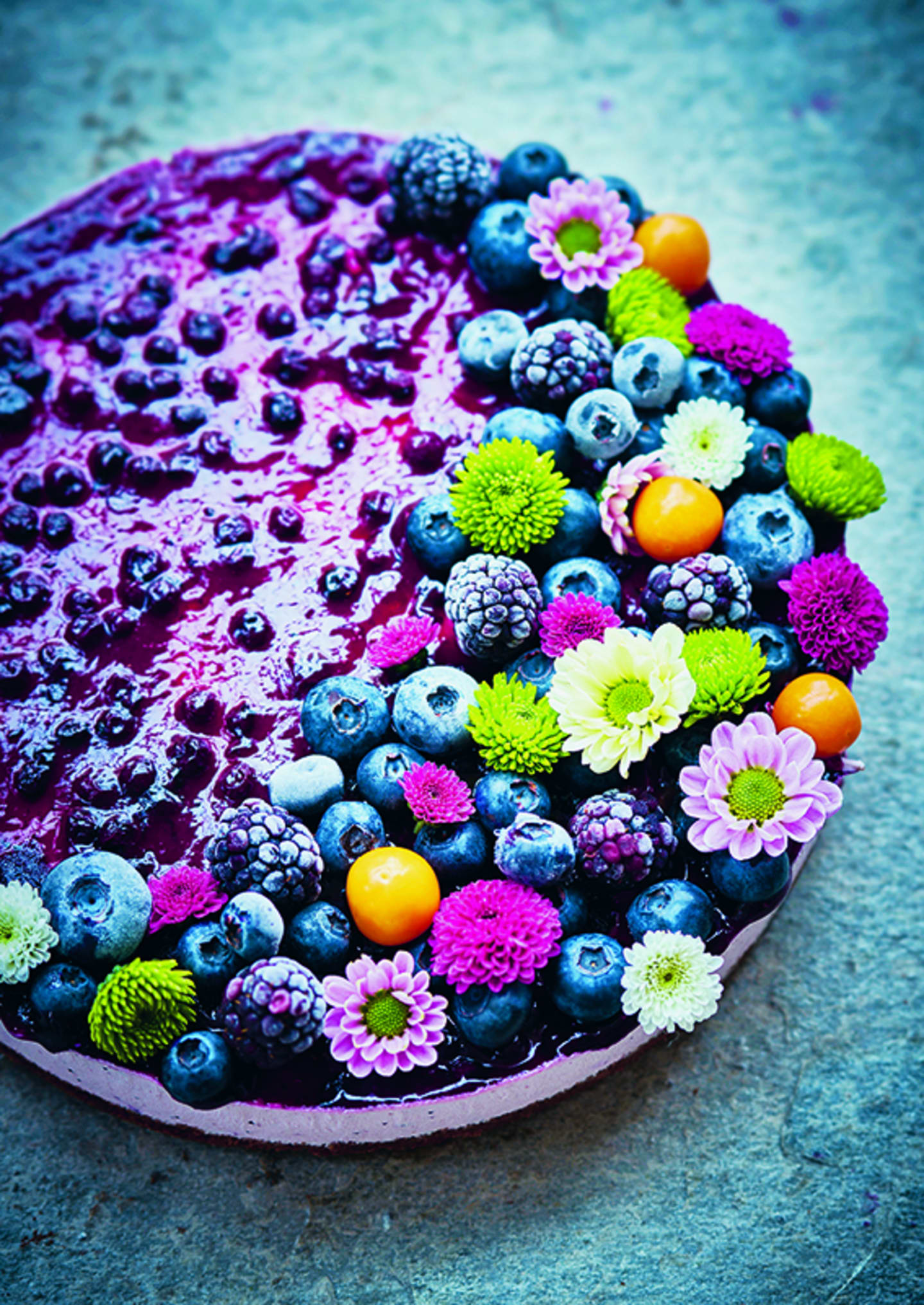 Cheesecake yoghurt blåbär 1,5kg - Bild 1 av 2