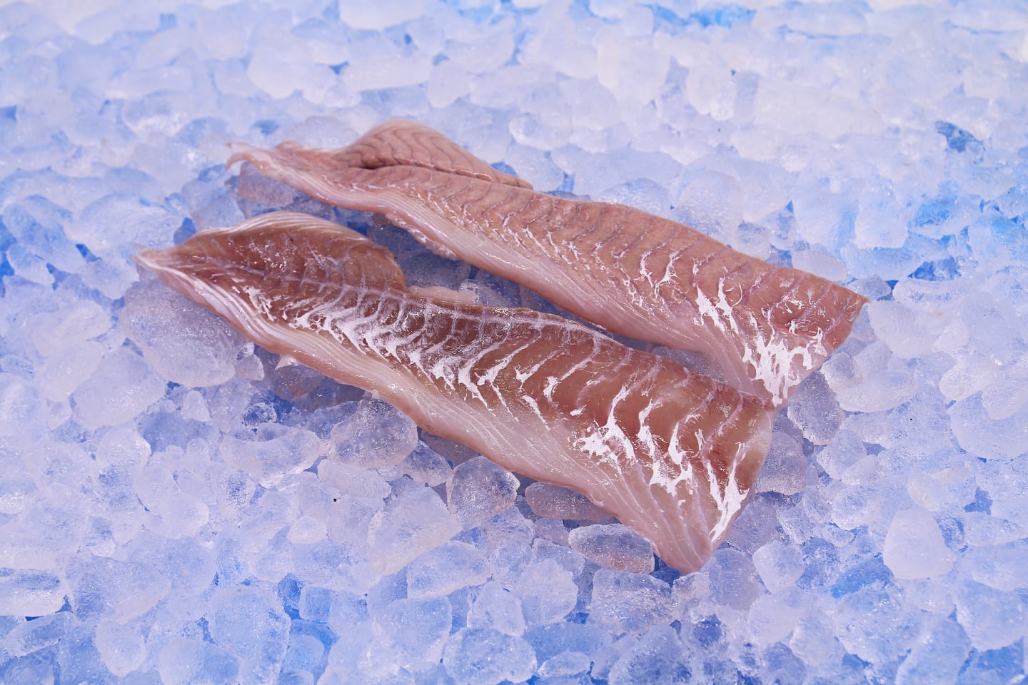 Sejtails Haler MSC 100g+
