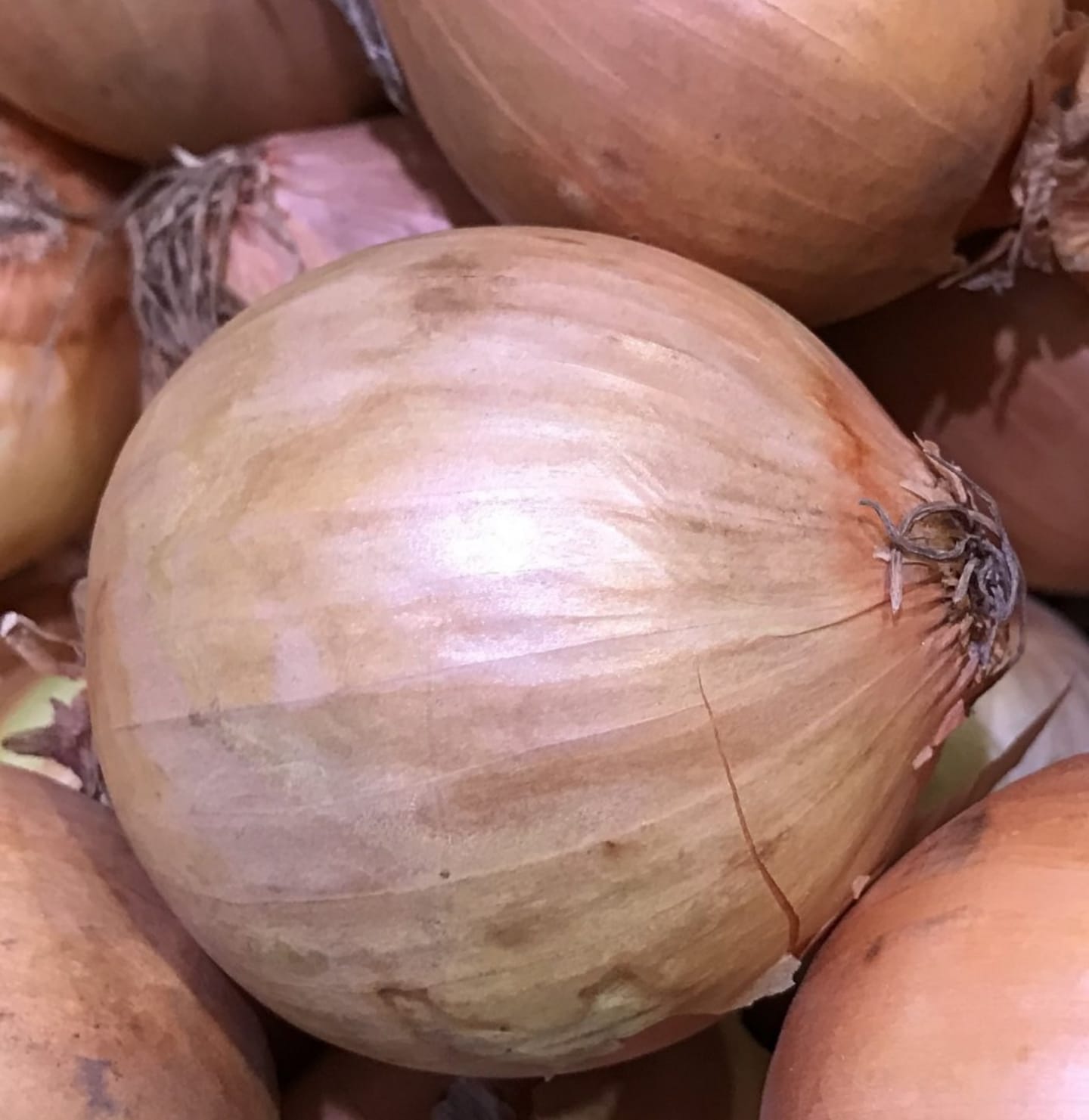 Jumbolök gul