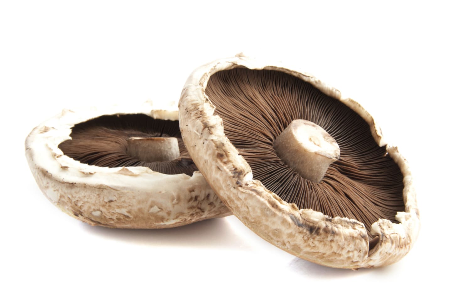 Portabella 200g