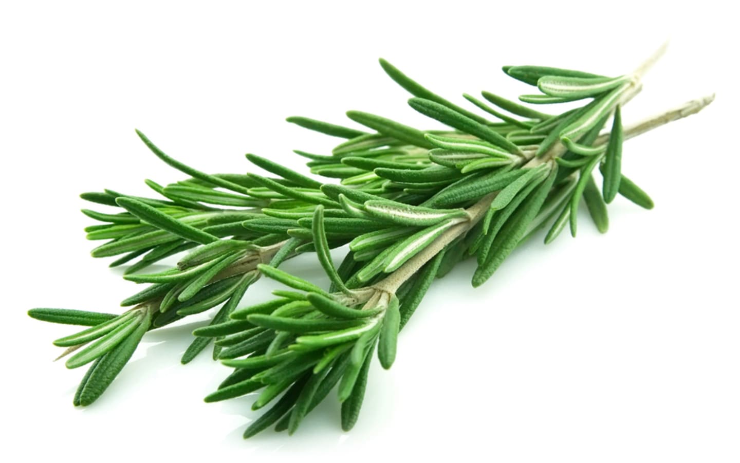 Rosmarin 50g