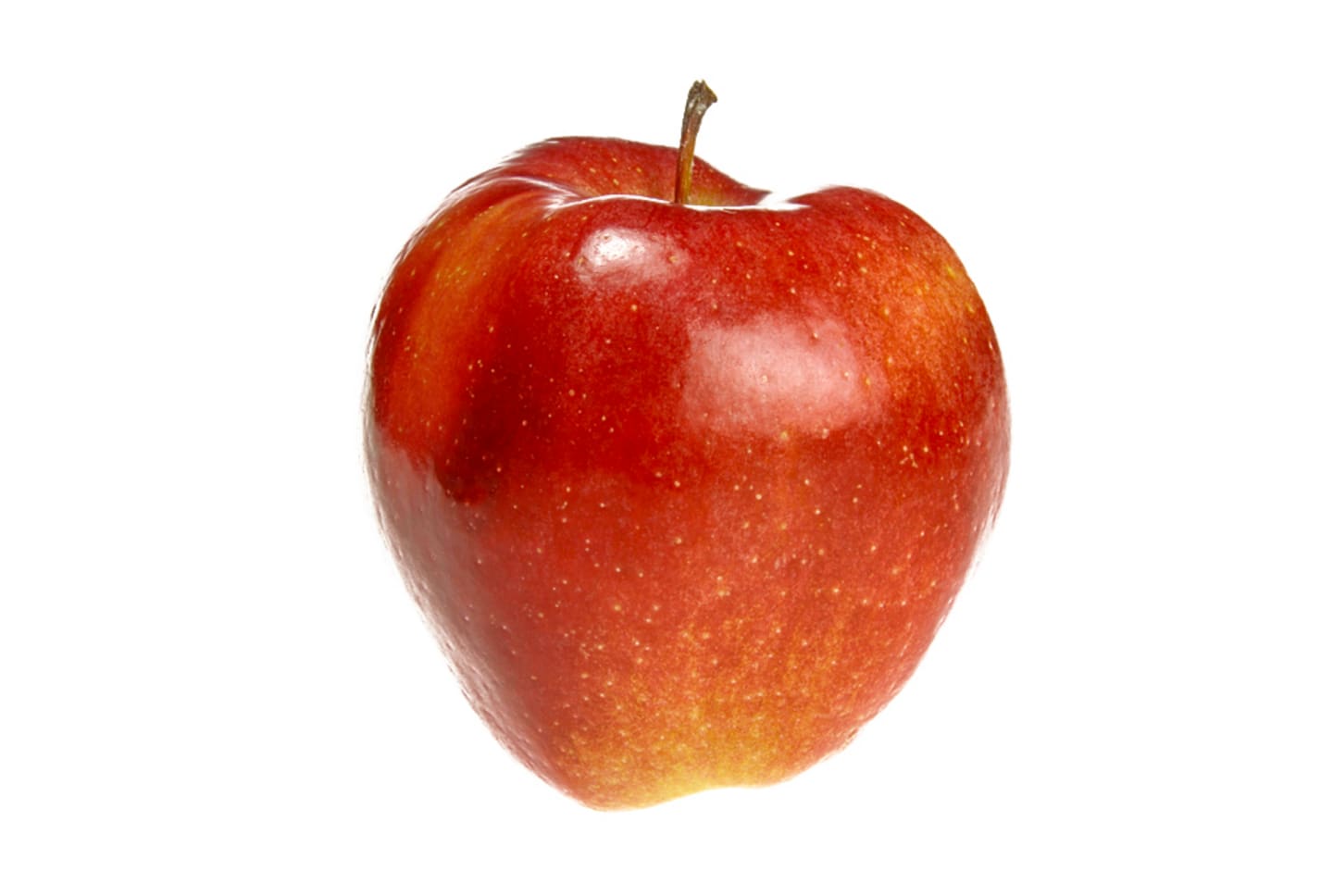 Äpple Gloster