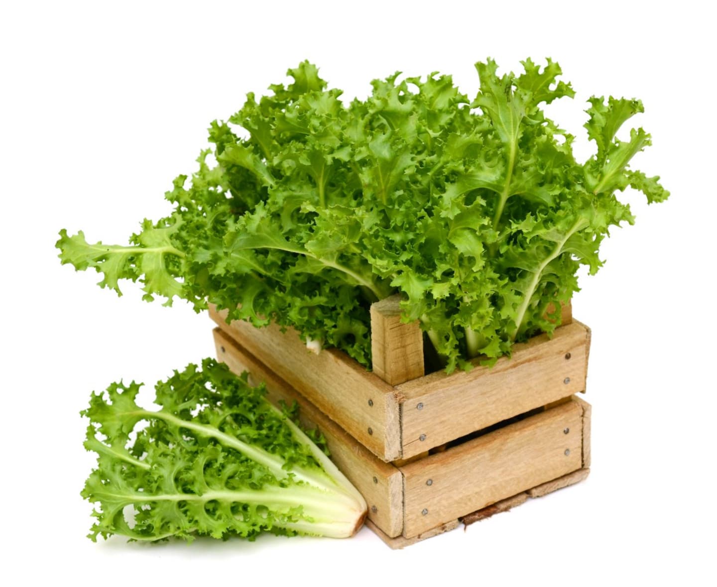 Sallad Friseé