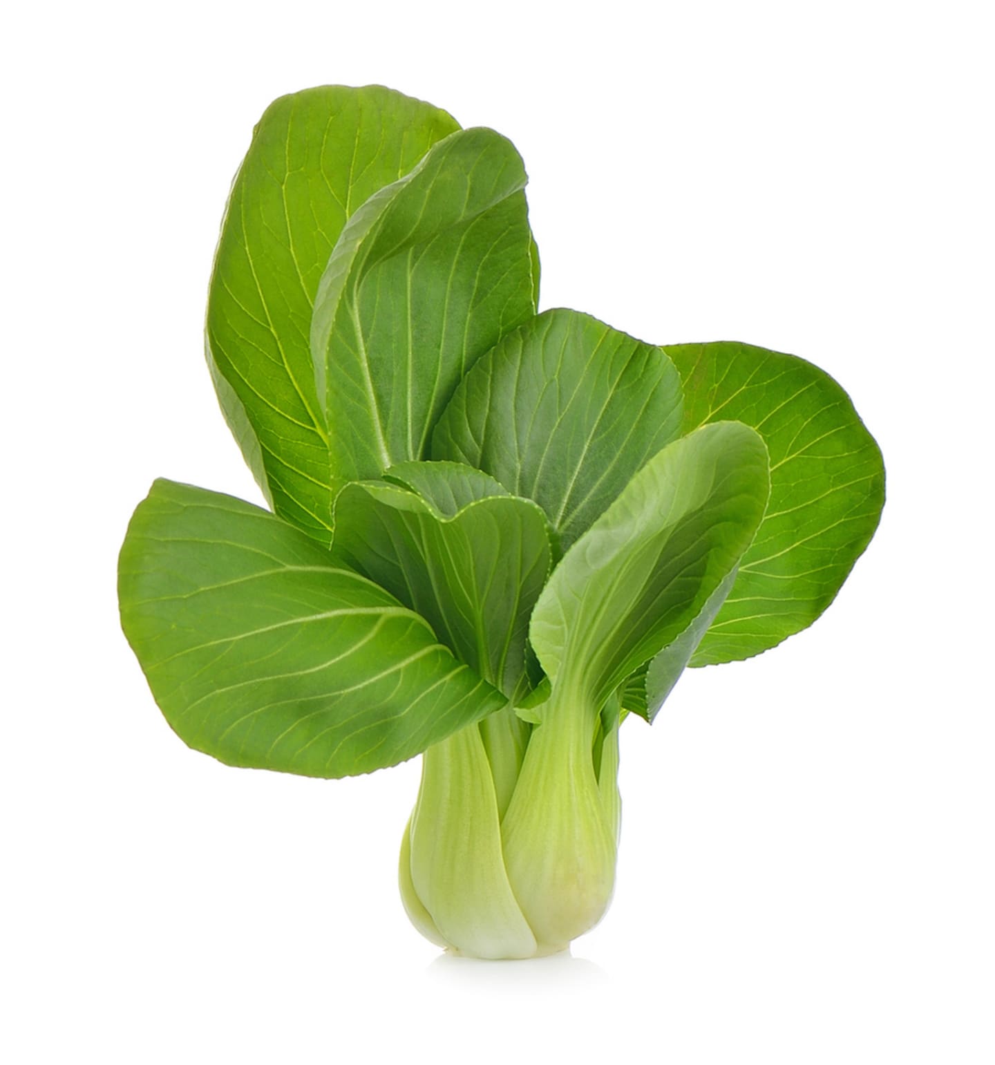Pak choy