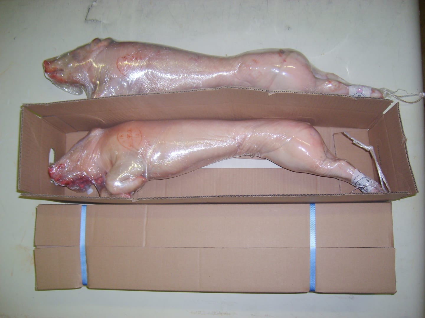 Spädgris hel 9-12kg - Bild 1 av 3
