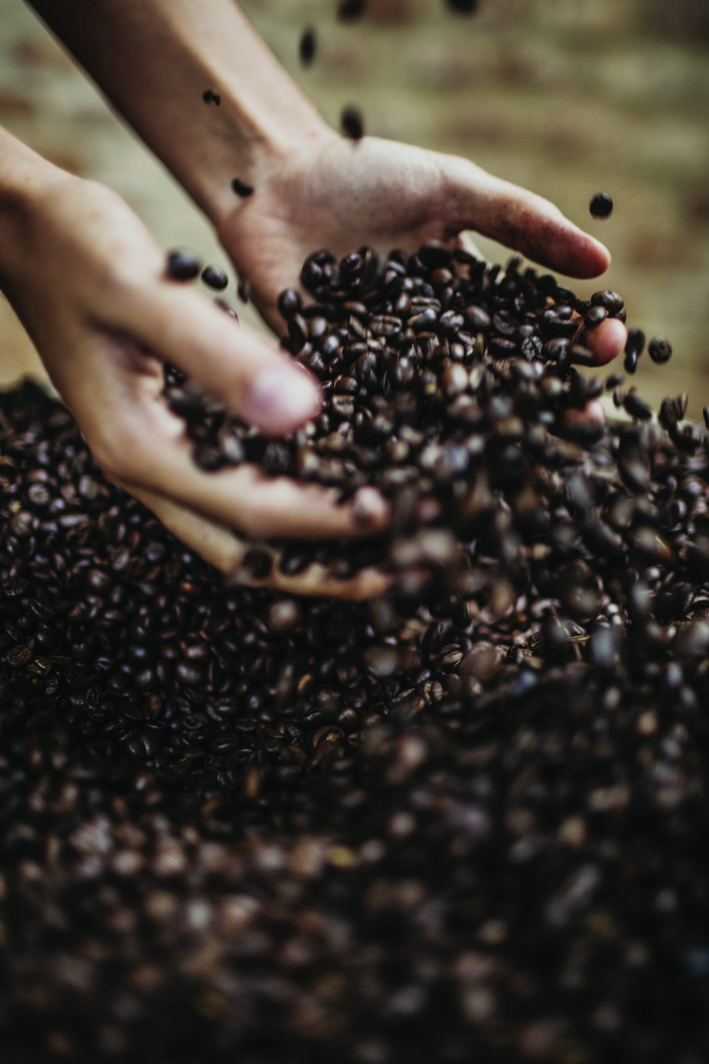 Kaffe Vergnano 100% Arabica hel böna 1kg - Bild 1 av 2