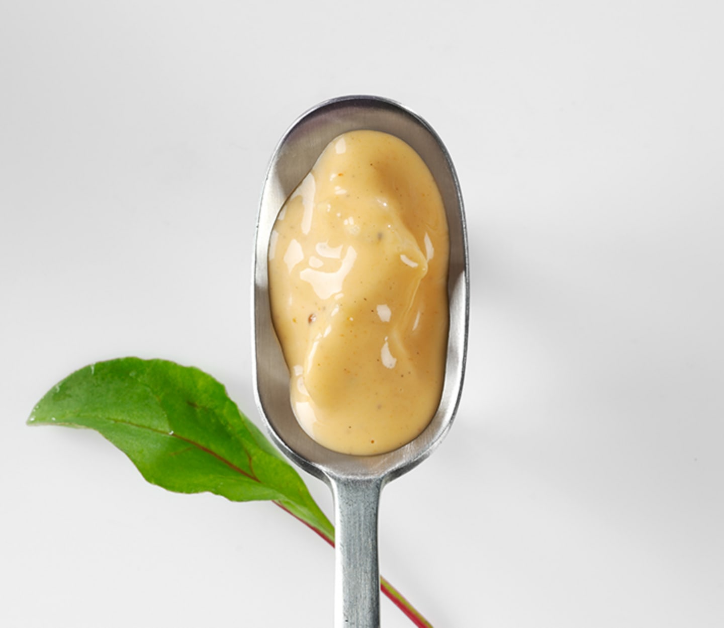 Rhode Island dressing 2,5kg