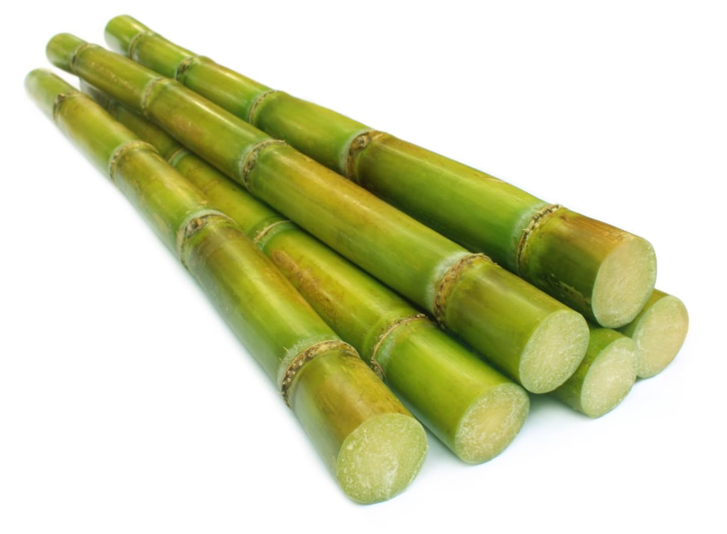 Sockerrör
