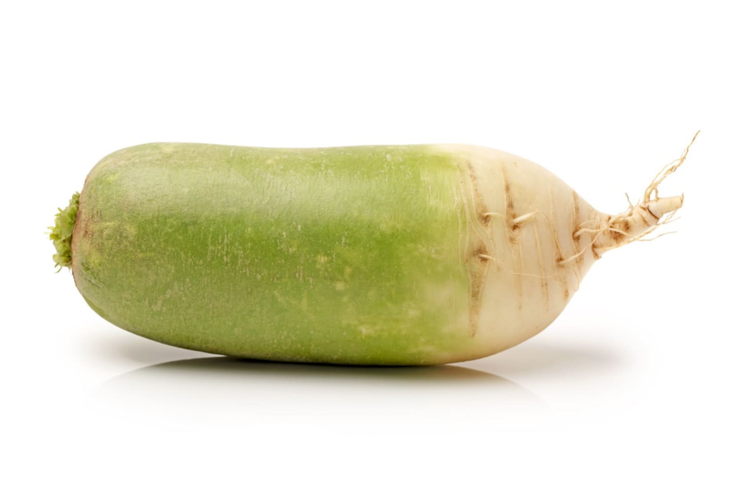 Rättika grön