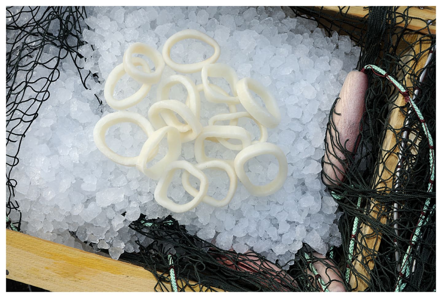Bläckfiskringar naturella 700g
