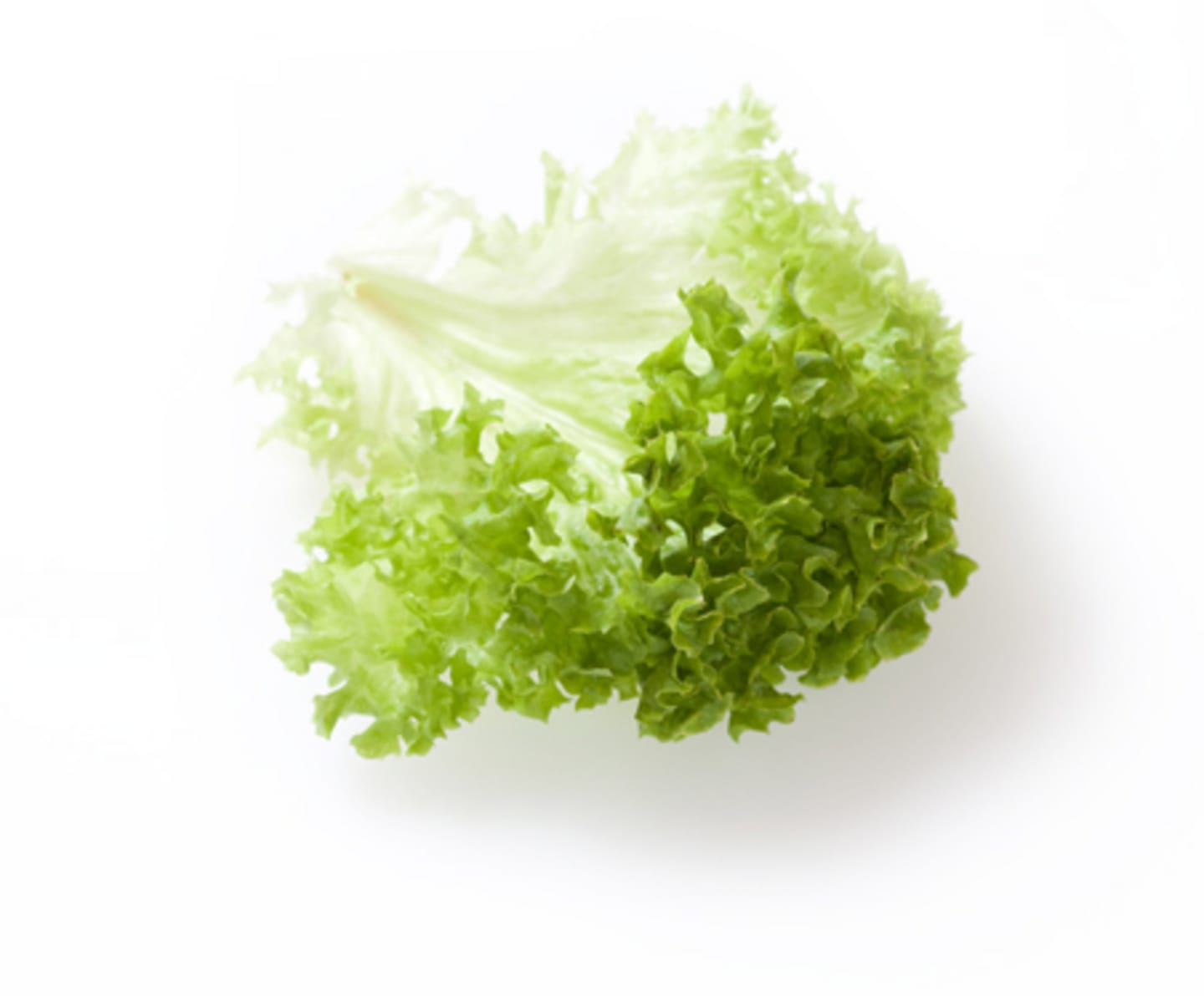 Sallad Lollo Biondo hela blad 2kg