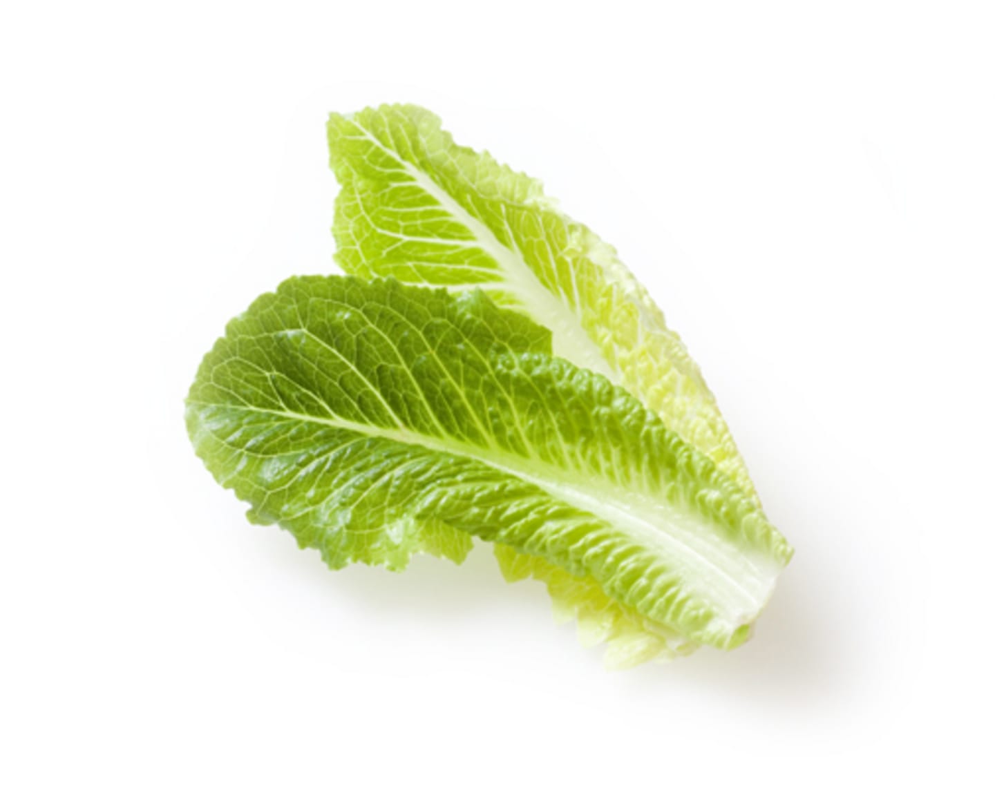 Sallad Roman hela blad 2kg