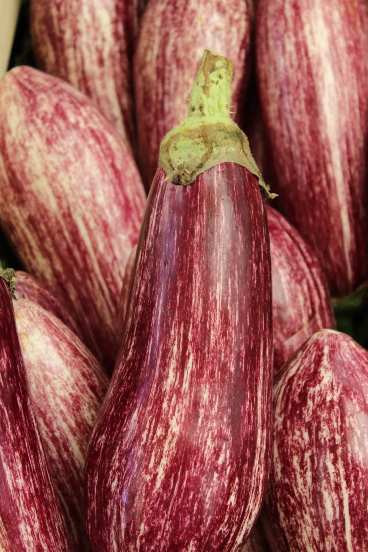 Aubergine grafitti