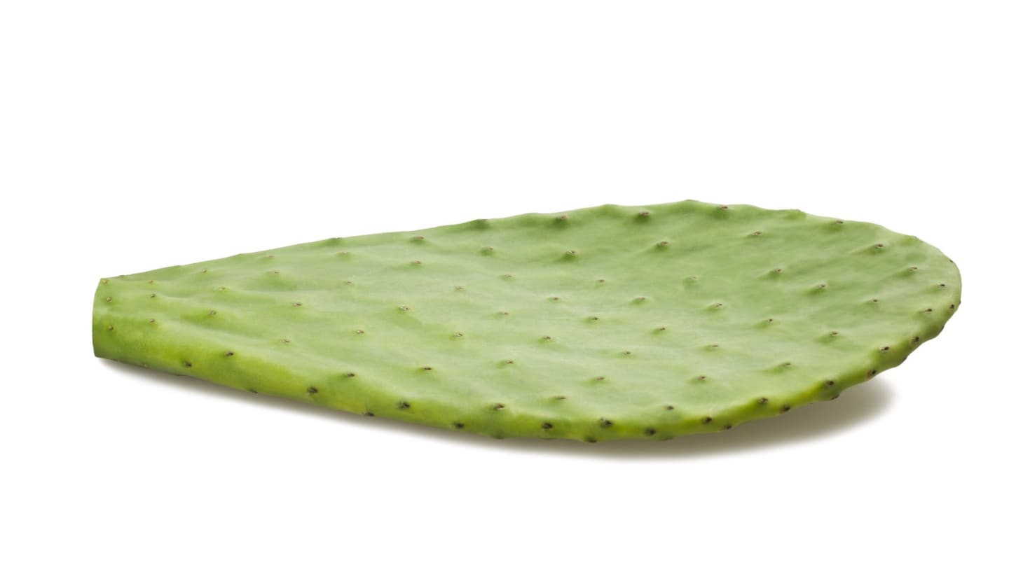 Kaktusblad