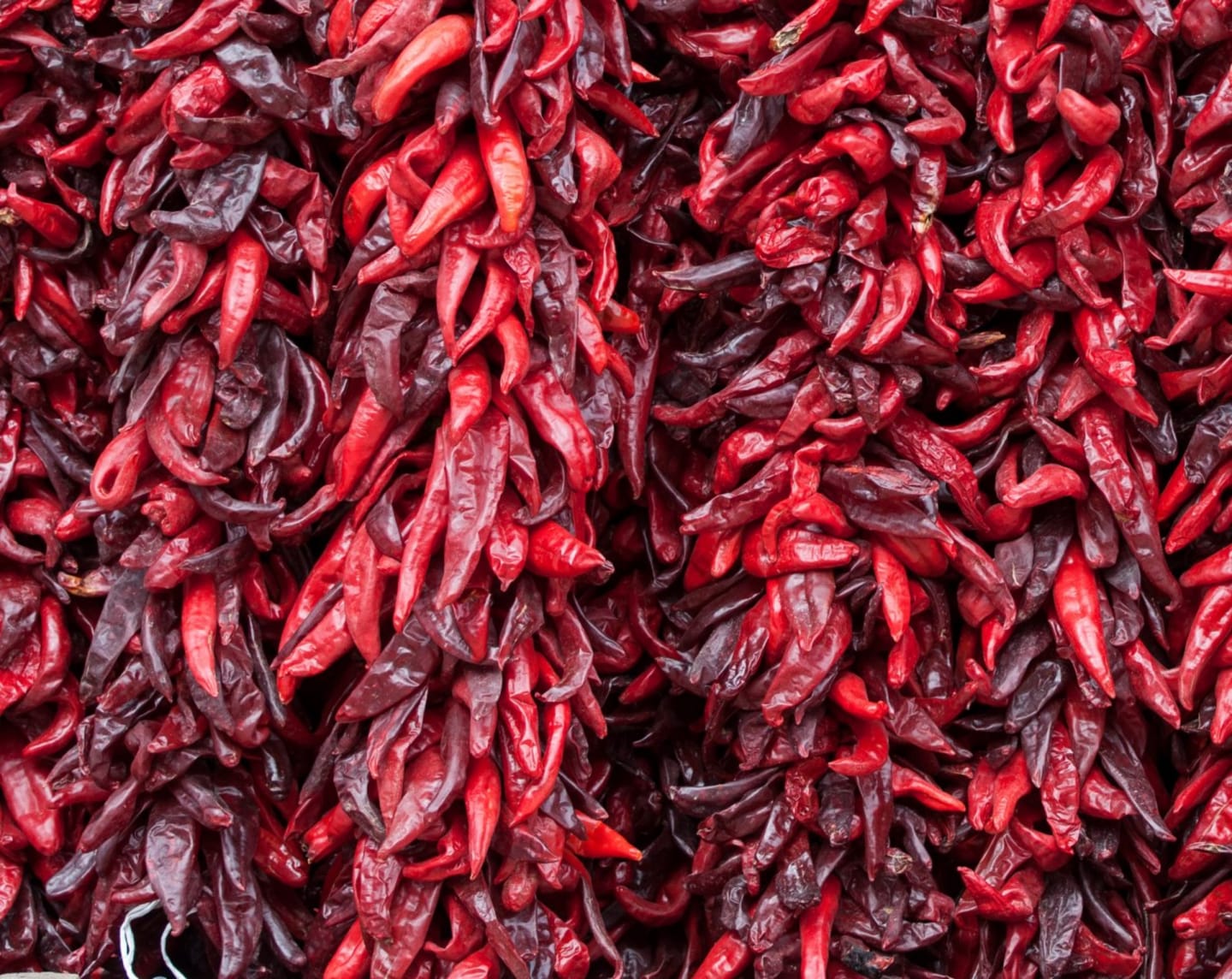 Chili New Mexico torkad
