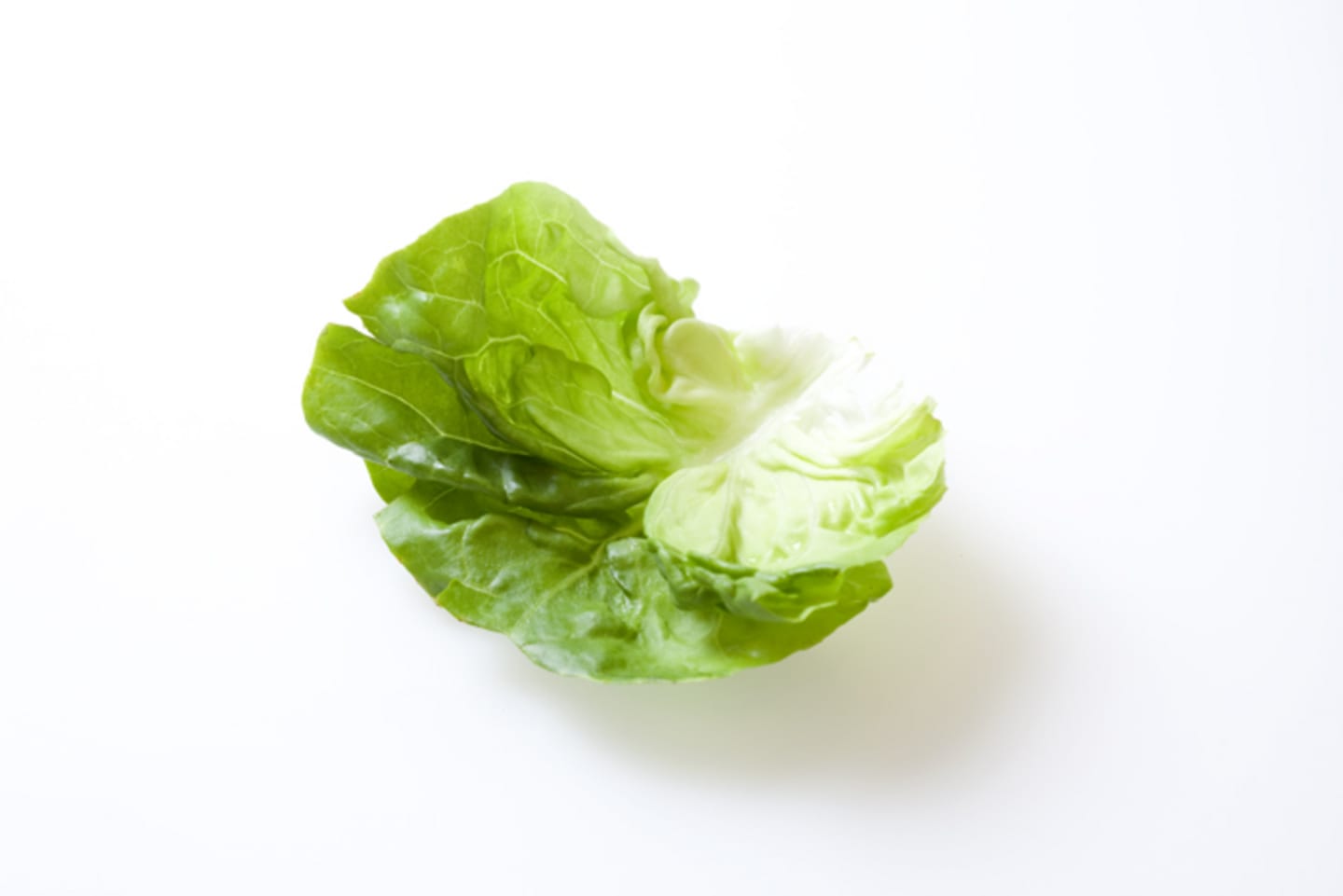Sallad Huvud hela blad 3kg