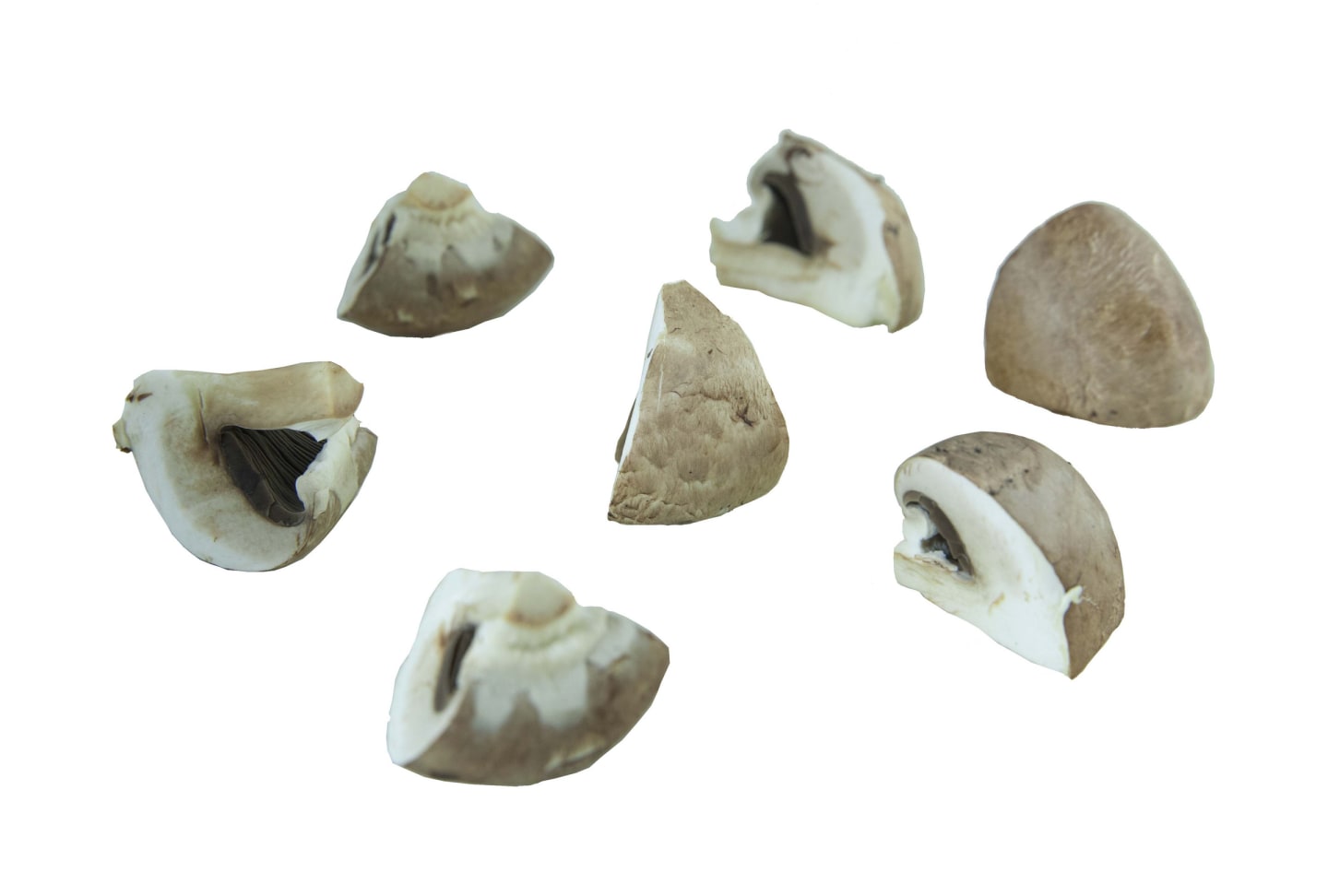 Skogchampinjon kvart 1kg