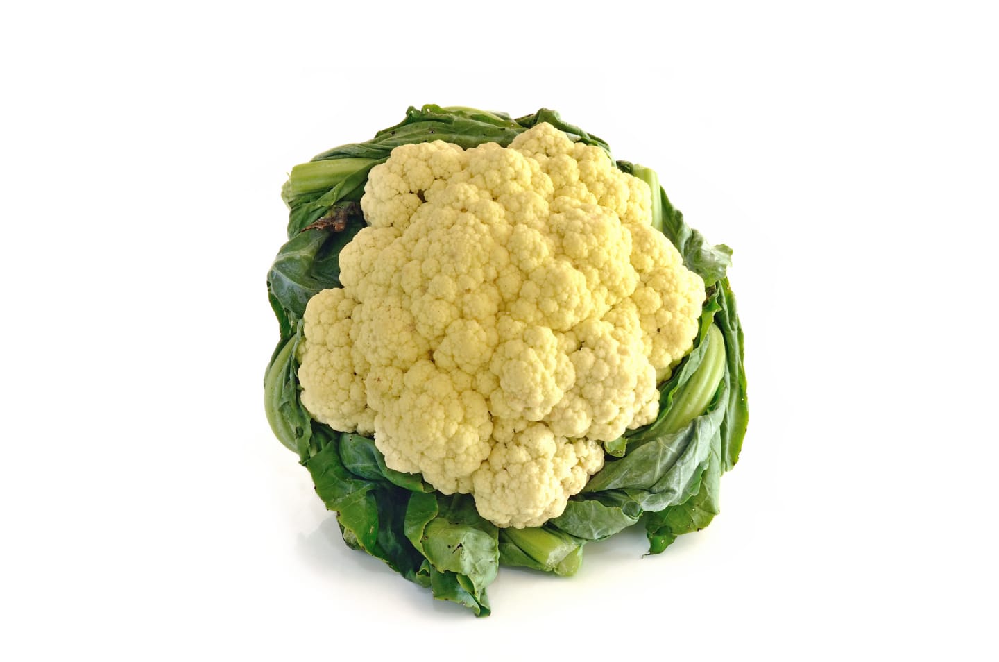 Blomkål
