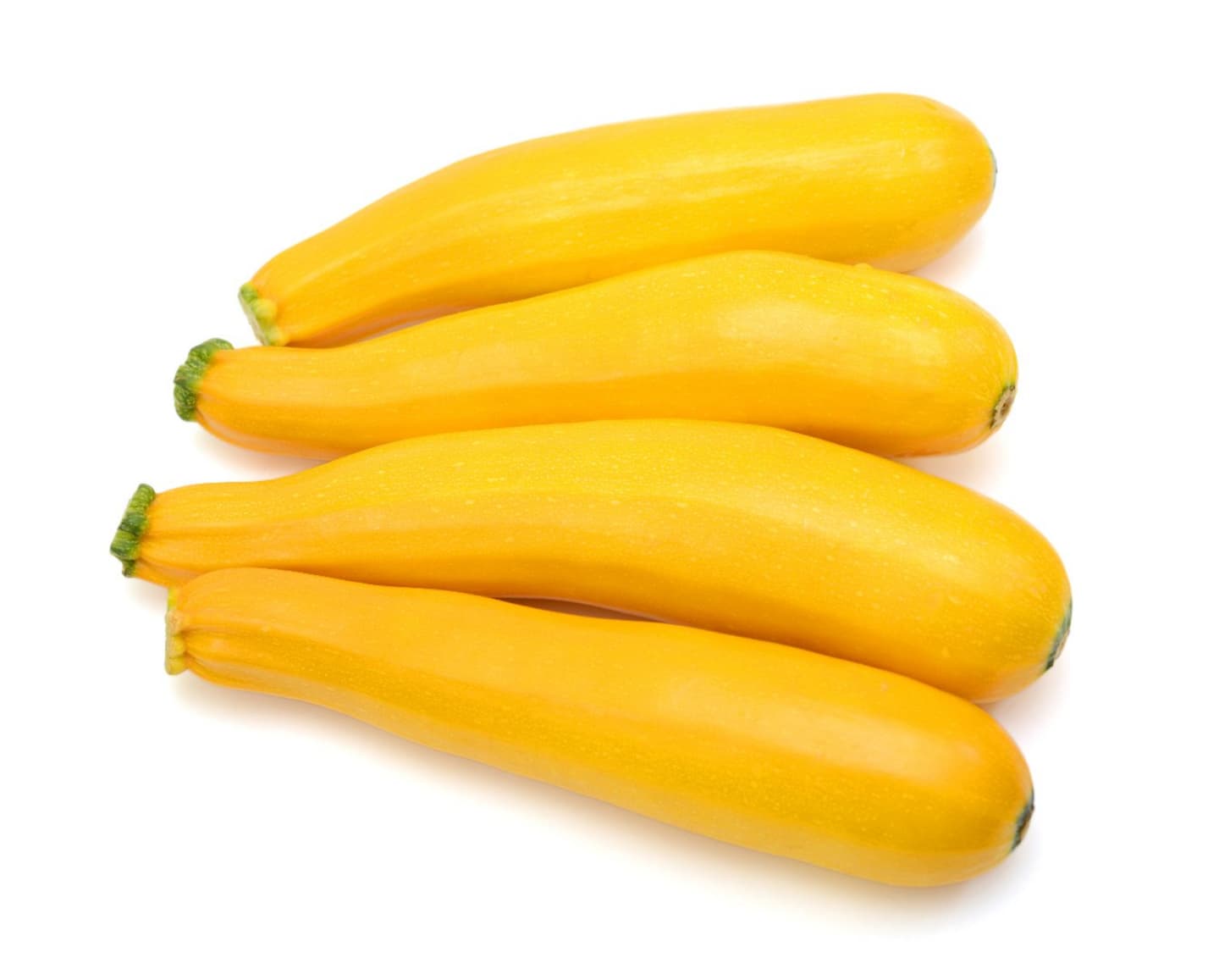 Zucchini gul