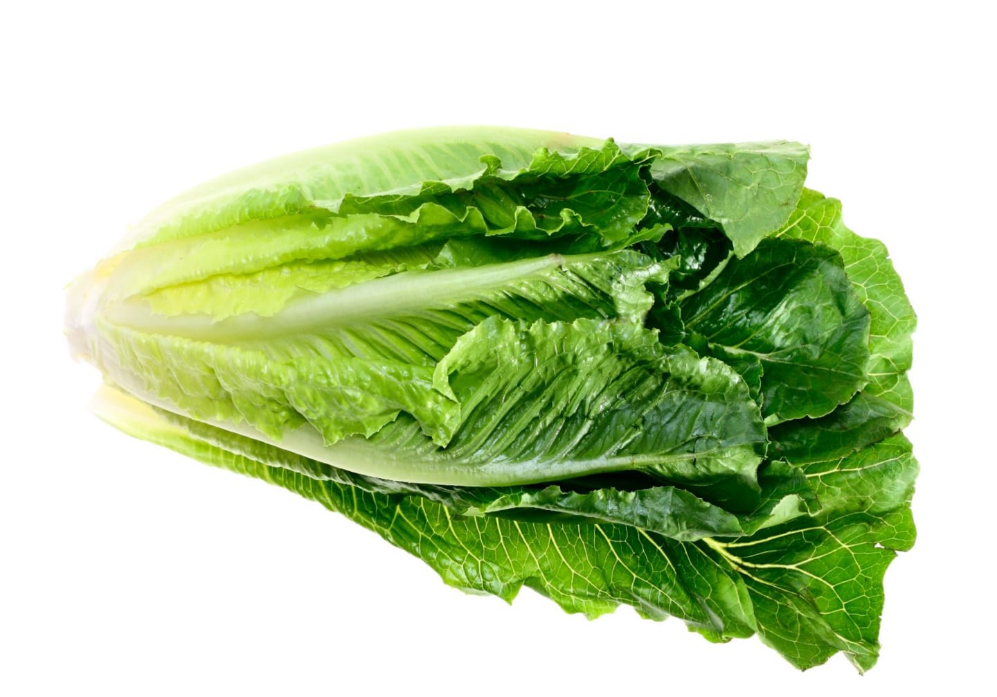 Sallad Roman