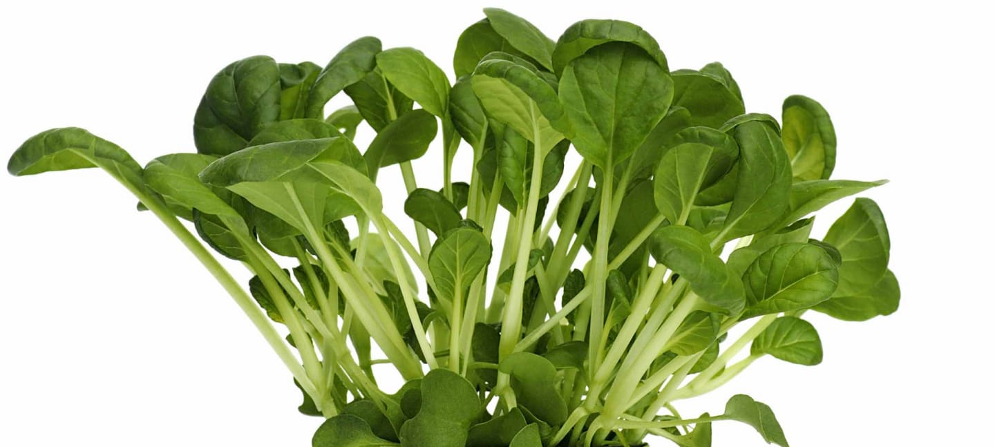 Sallad Tatsoi 250g - Bild 1 av 1