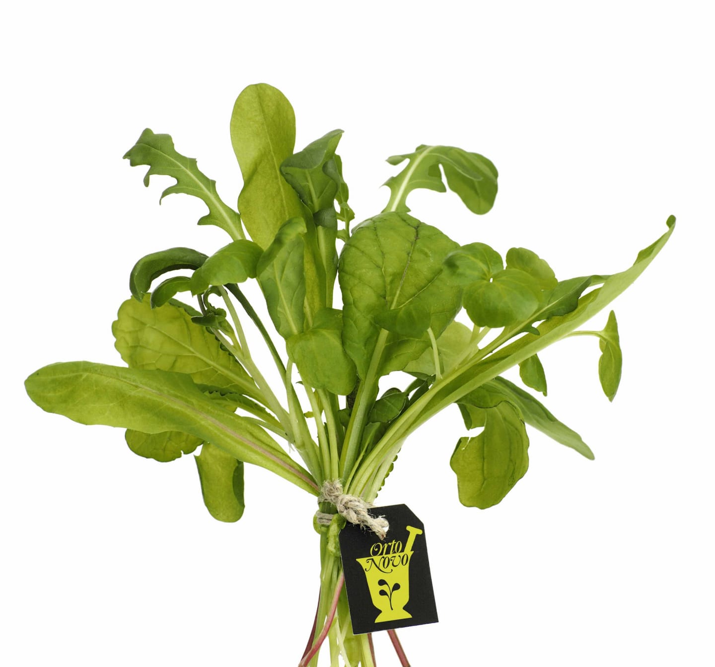 Sallad Diablo 250g