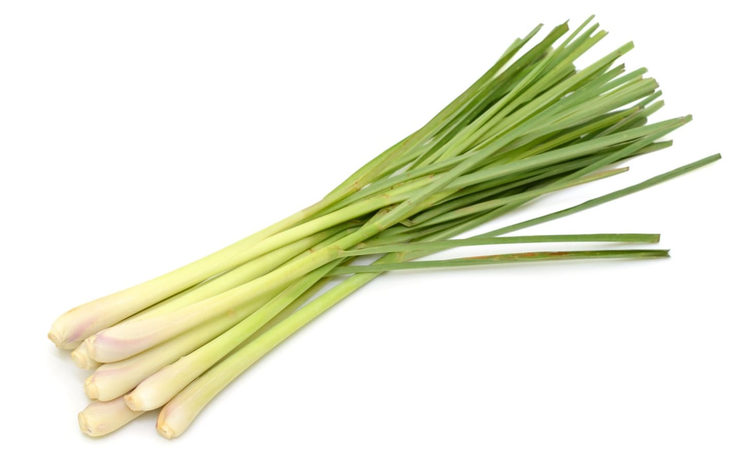 Citrongräs