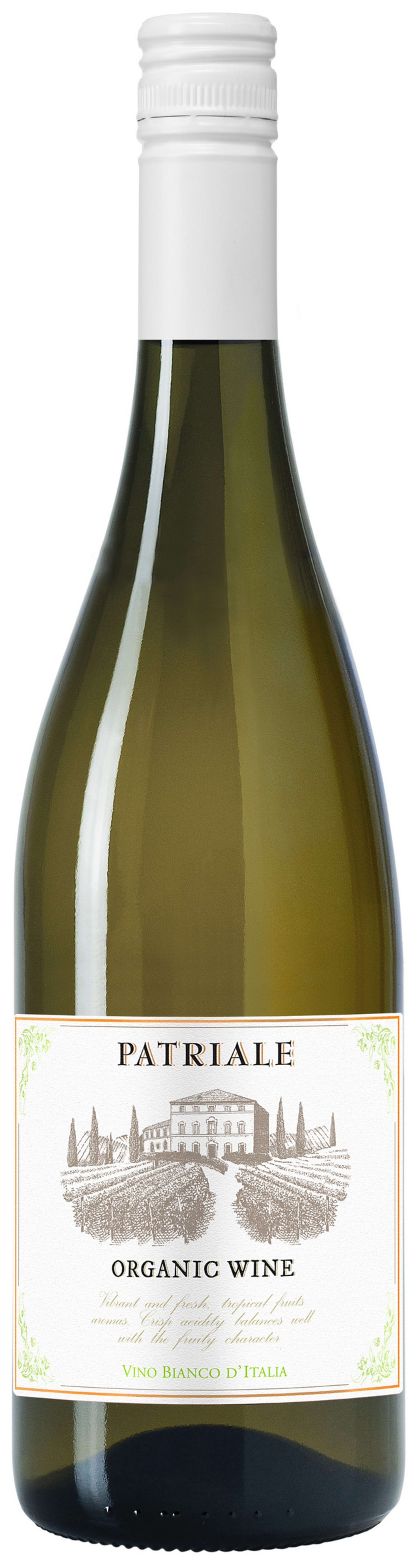 Piccini Patriale Bianco 75cl - Bild 1 av 1
