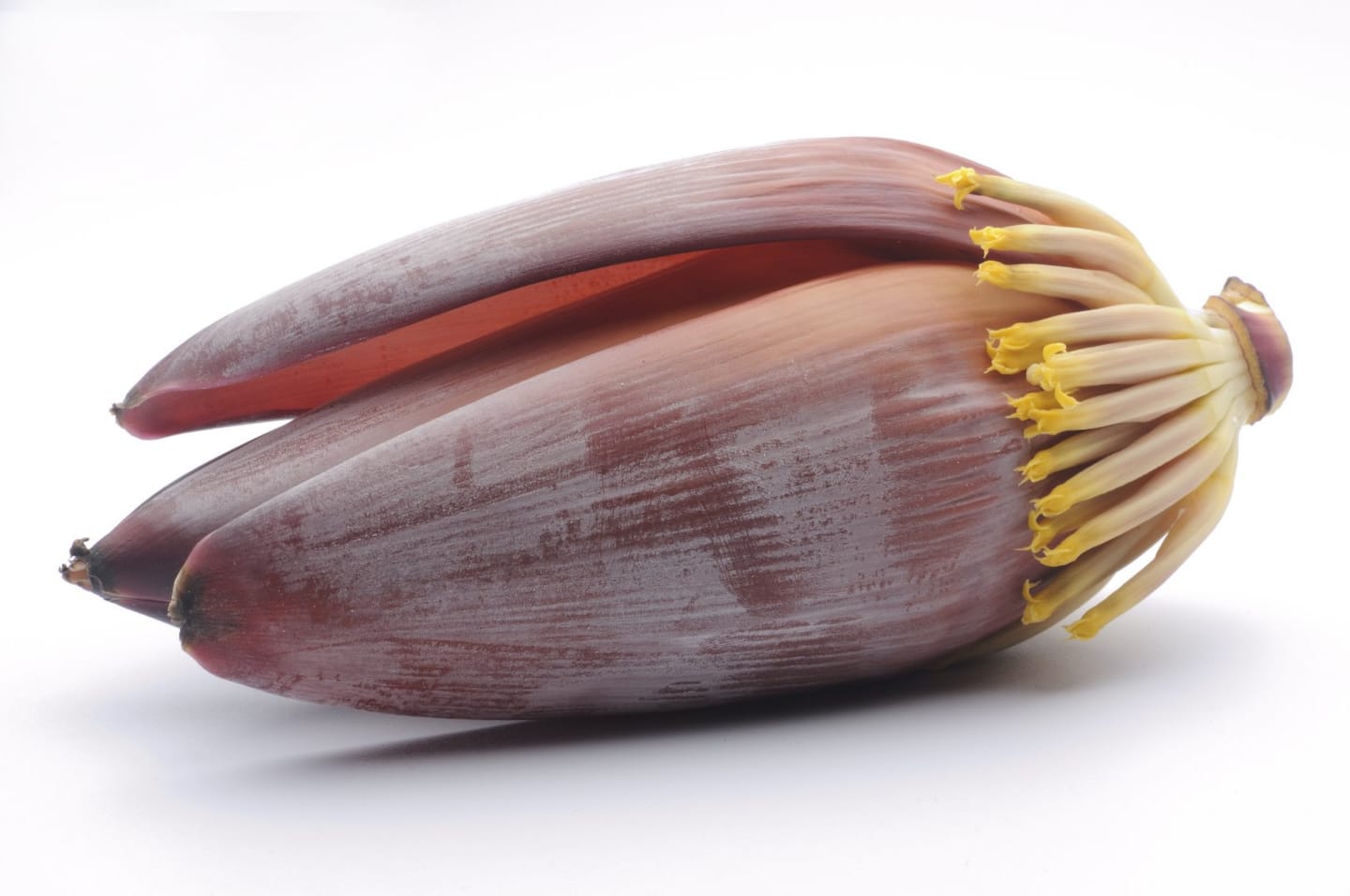 Bananblomma 2kg