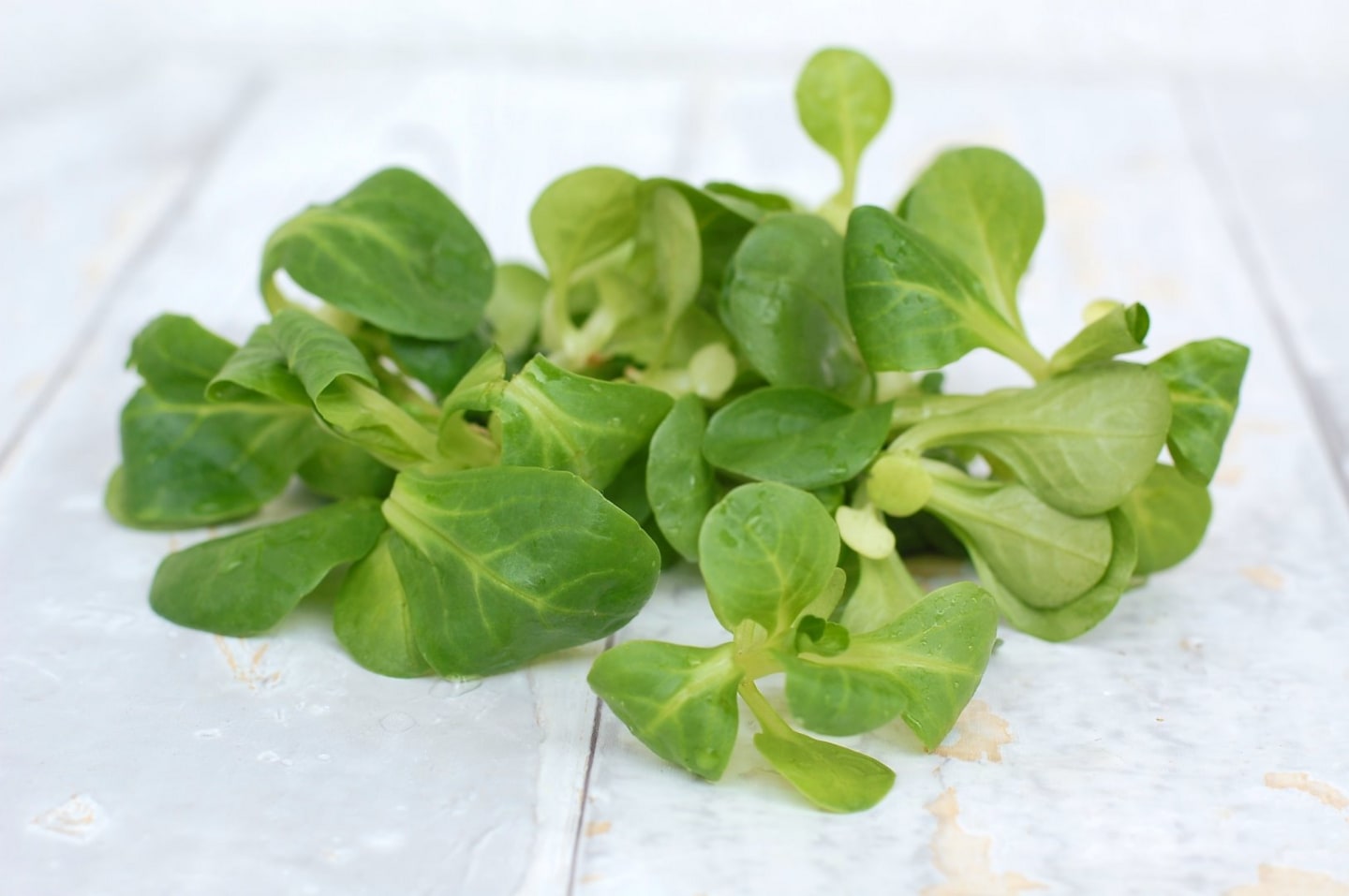 Sallad Maché 100g