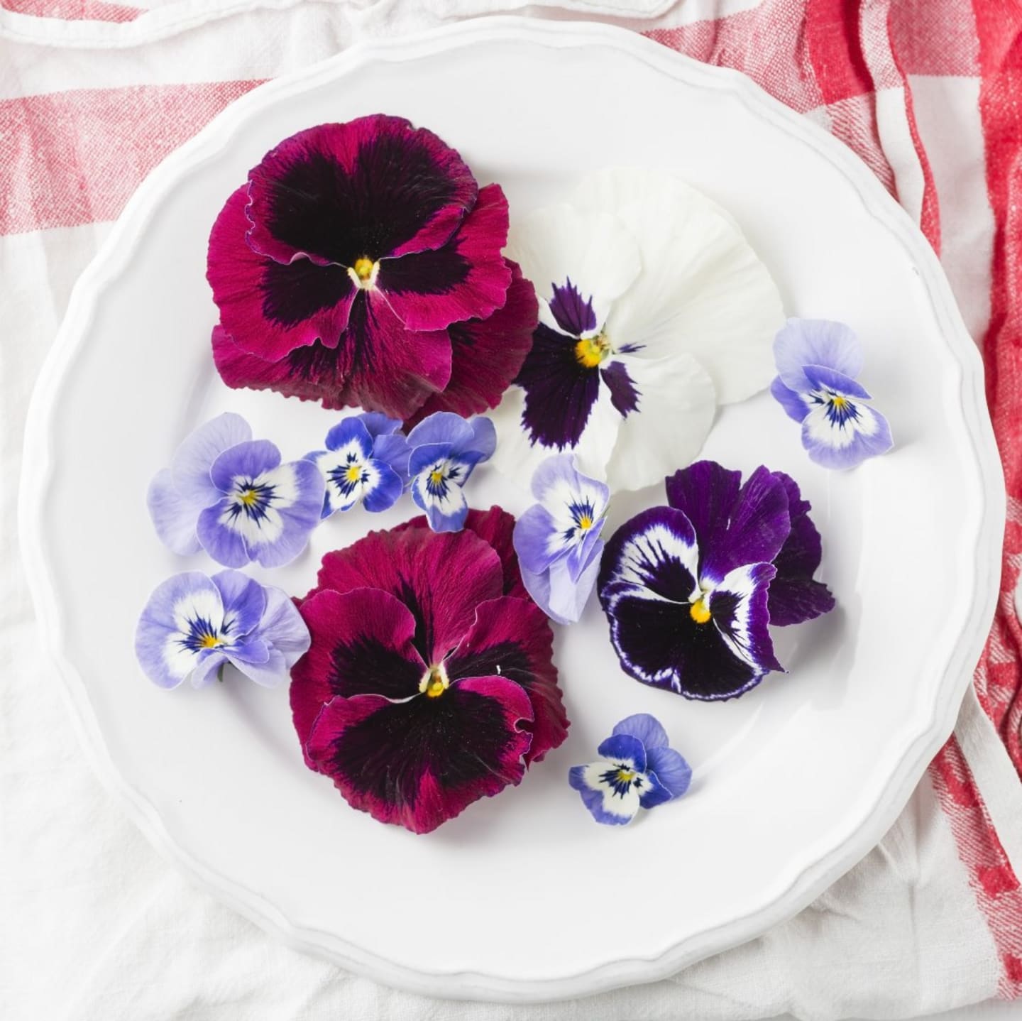 Ätbar blomma Pensée
