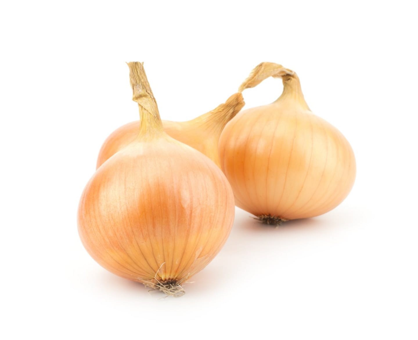Sweet Onionlök