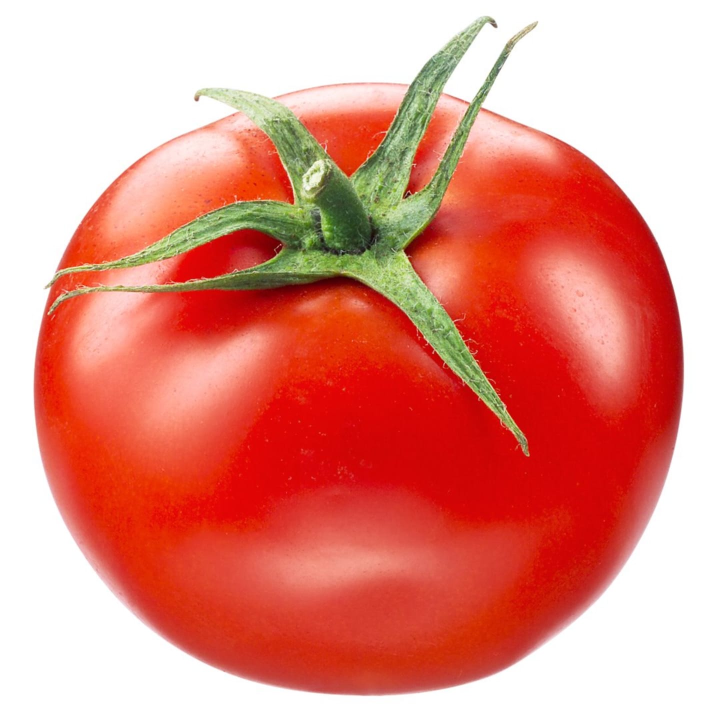Tomat svensk
