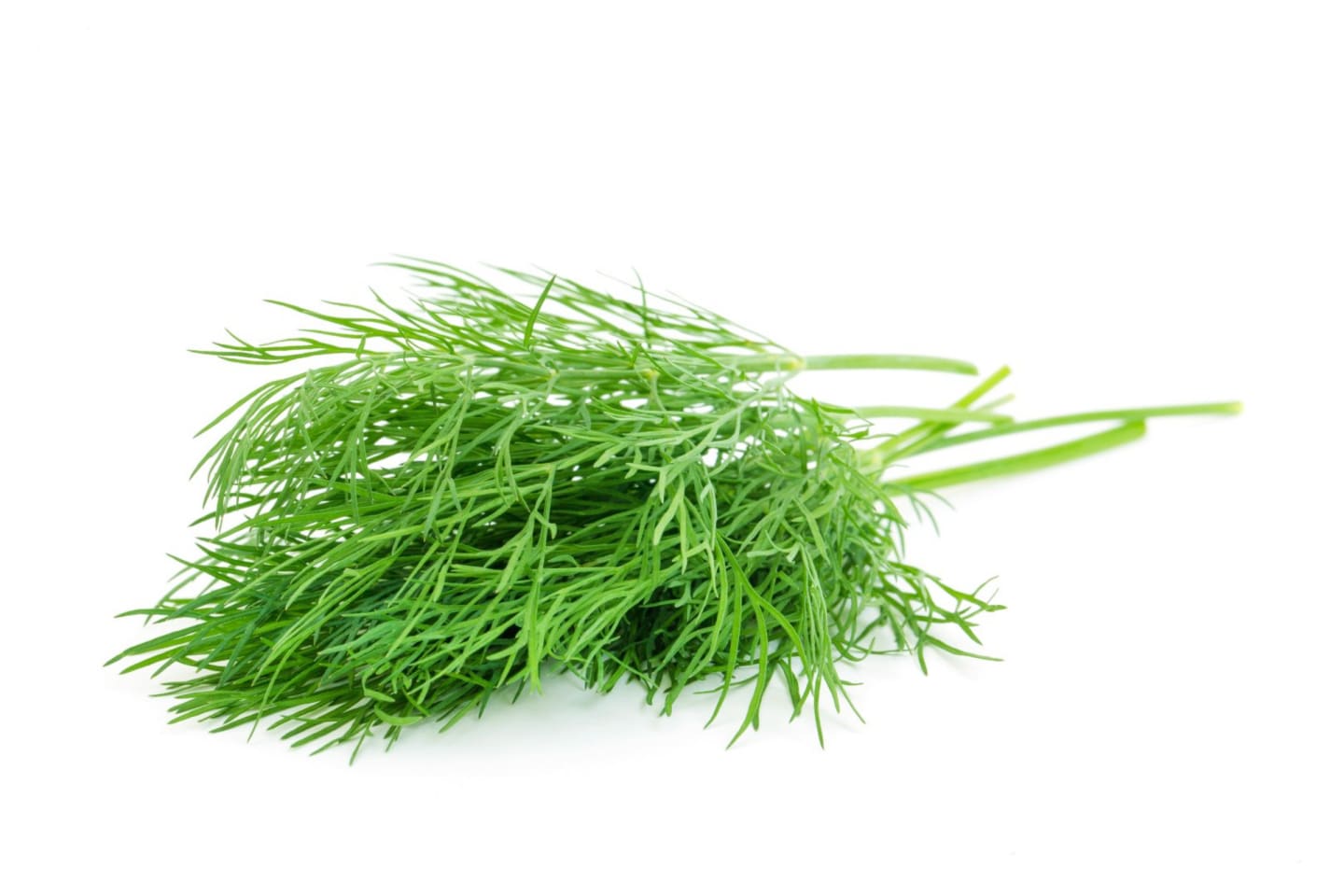Dill 4kg