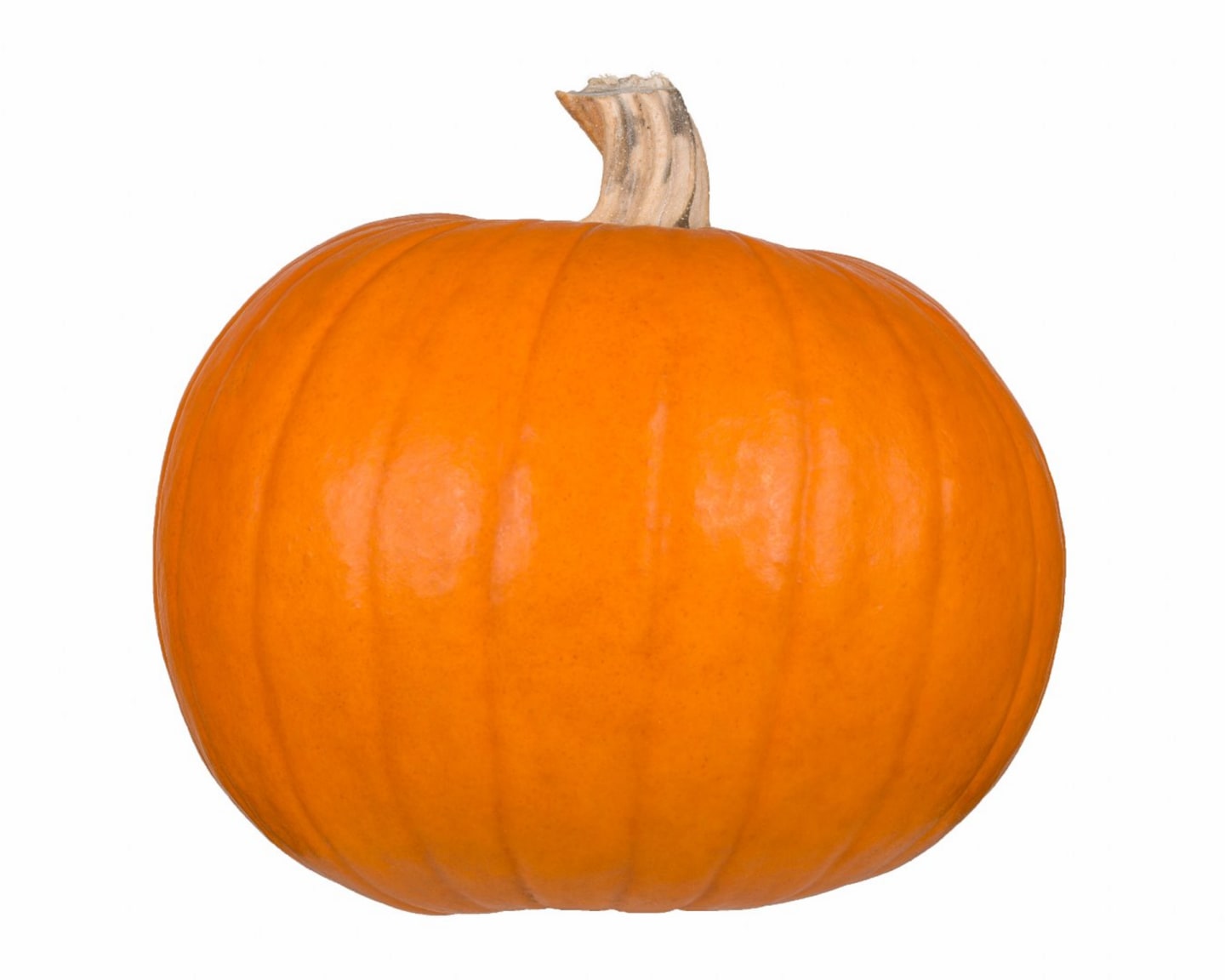 Halloweenpumpa 5-6kg/st