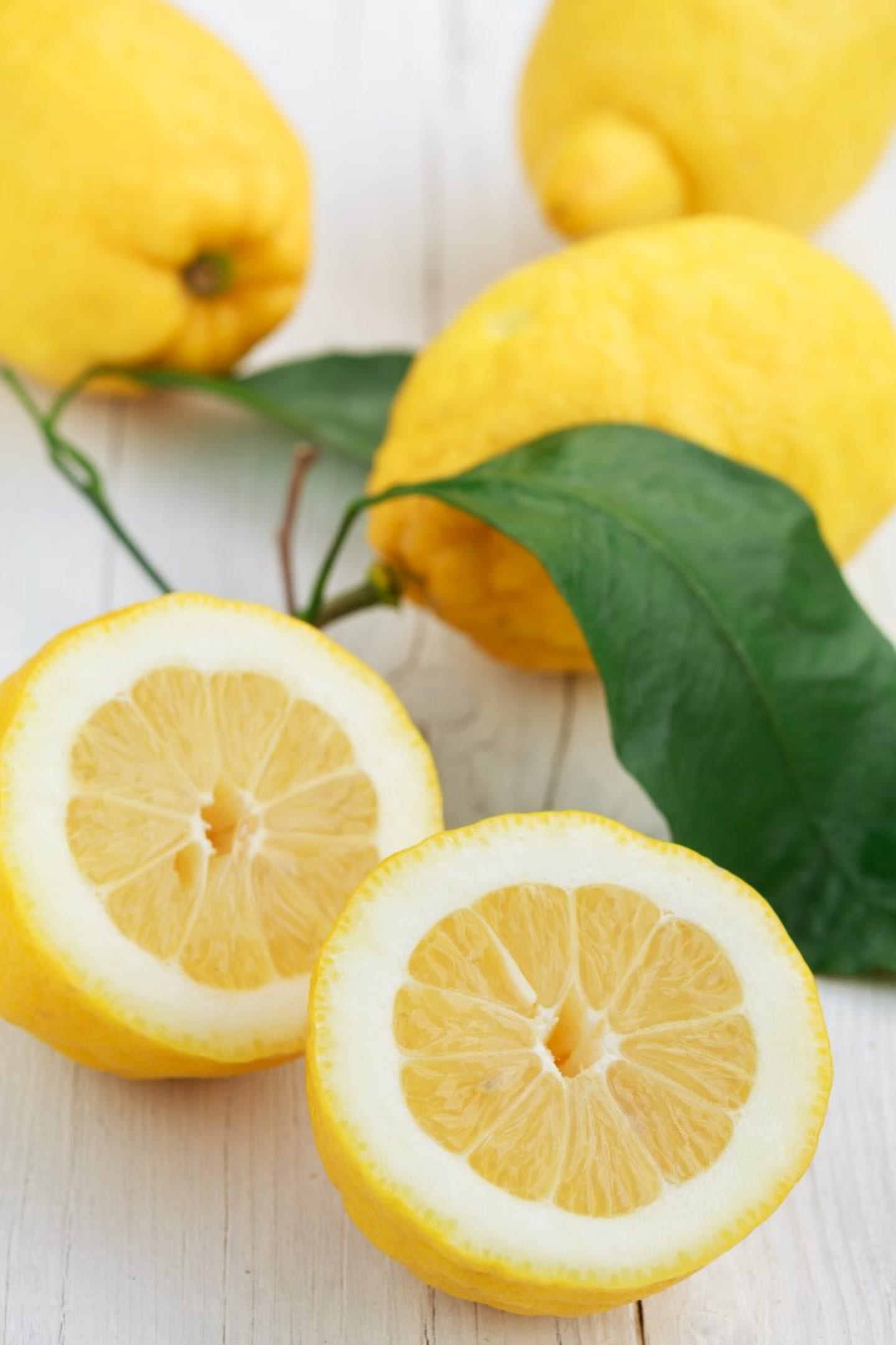 Citron Amalfi