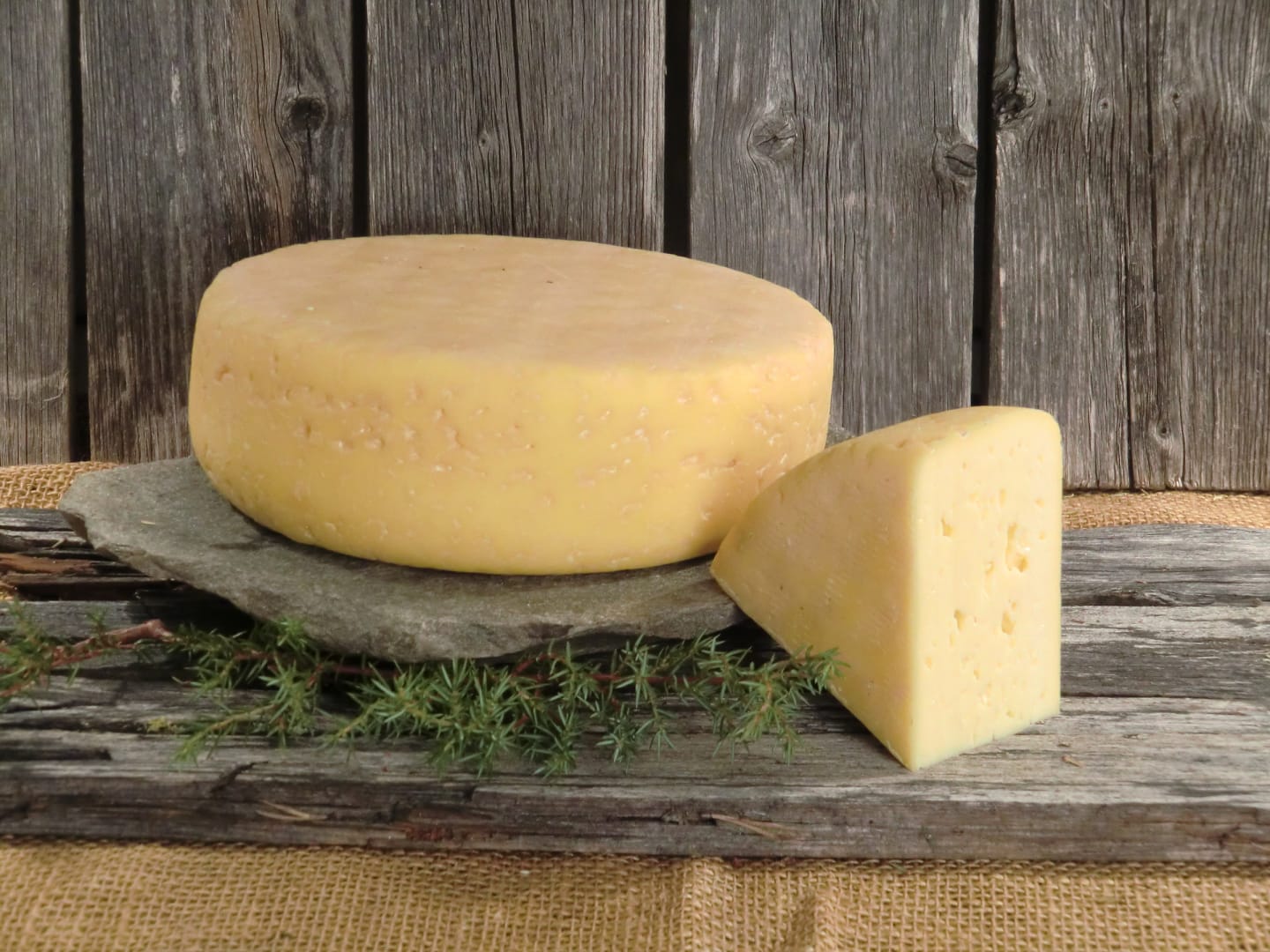 Linus kittost ca 1,1kg