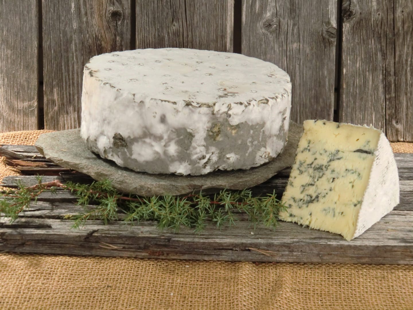 Ädla grönmögelost 1,7kg