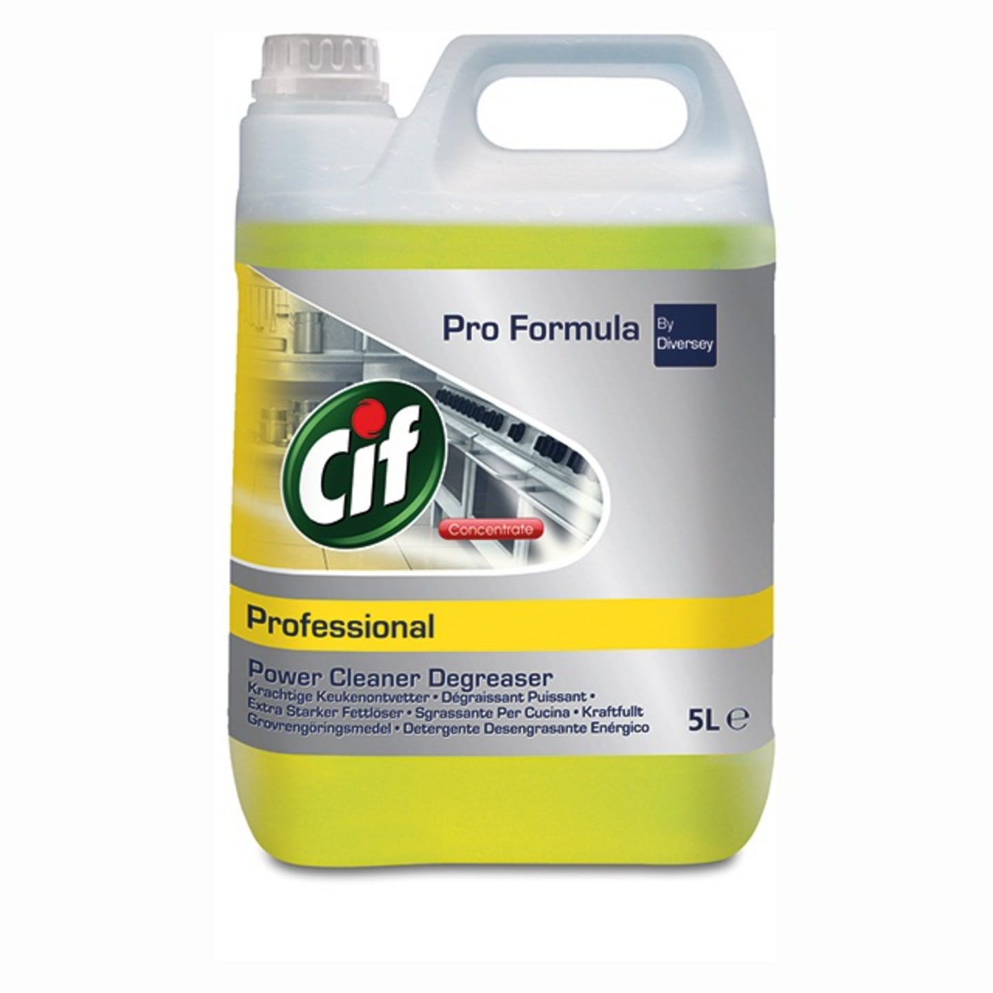 Cif Prof grovrent 5L