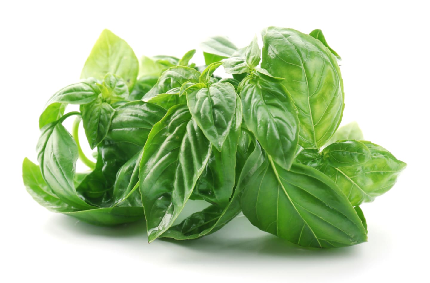 Basilika 50g