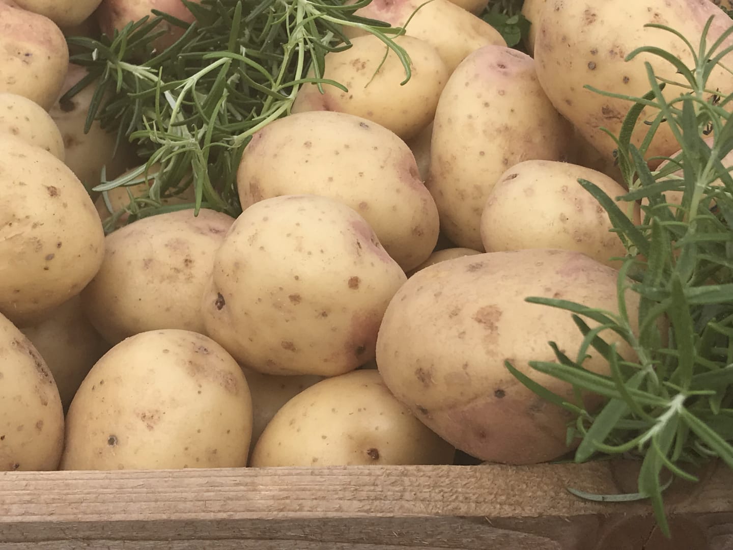 Potatis King Edward 40-50mm 10kg - Bild 1 av 2